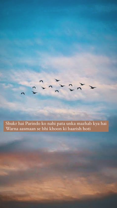 Birds Shayari, Birds Flying In The Sky Quotes, Shayari On Clouds, Aesthetic Shayari Captions, Shayari On Nature, Hindi Aesthetic Captions, Sky Shayari, Aesthetic Hindi Captions, Snap Shayari