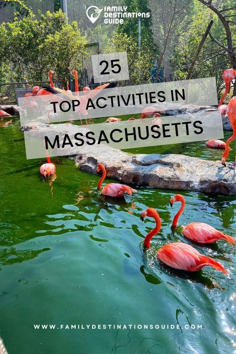 Your Massachusetts Bucket List: 25 Top Picks Things To Do In Massachusetts, Massachusetts Vacation, Summer Escape, Family Destinations, Winter Getaway, Bucket List Destinations, Amazing Adventures, From Instagram, Family Activities