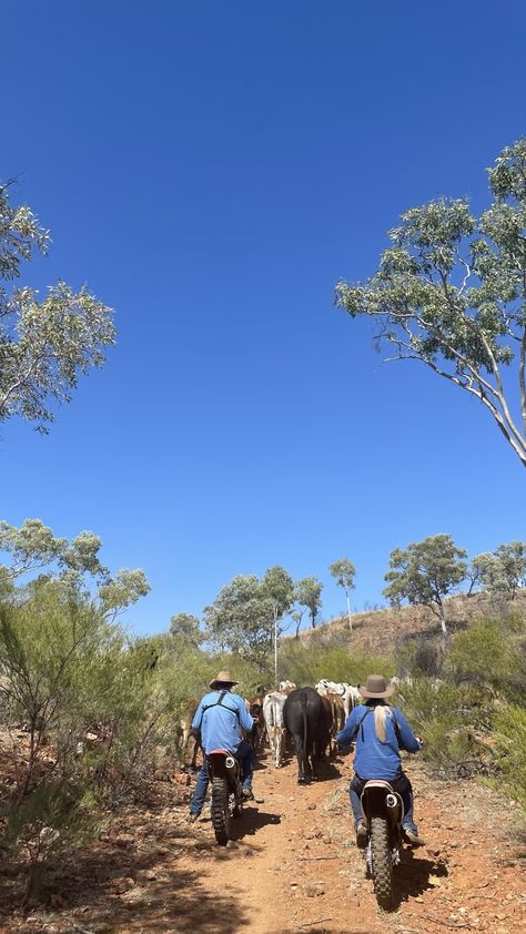 Aussie Farm Aesthetic, Station Life Australia, Farming Australia, Australian Ranch, Horse Riding Aesthetic, Horse Barn Ideas Stables, Australian Farm, Farm Lifestyle, Outback Australia