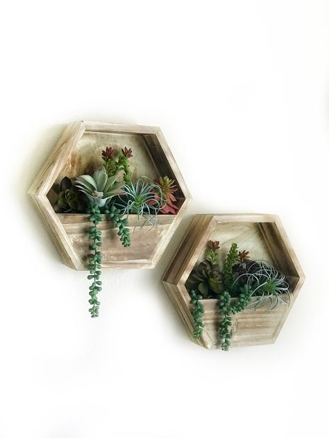 Wooden Wall Planters Indoor, Hexagon Planter, Succulent Wall Planter, Interior Design Plants, Wall Planters, Barn Wood Projects, Wood Pallet Art, Plant Projects, Wood Projects That Sell