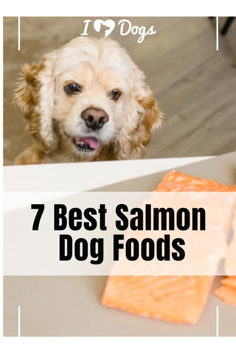 7 Best Salmon Dog Foods Canned Salmon Dog Food Recipe, Salmon Dog Food Recipes, Raw Salmon, Best Salmon, Wild Caught Salmon, Can Salmon, Dog Foods, Raw Dog Food Recipes, Dog Allergies