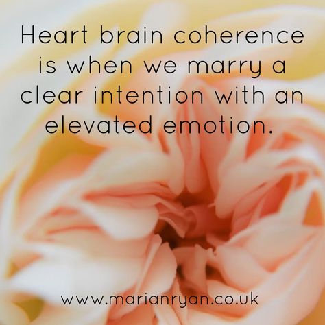 Heart Coherence Quotes, Yoga Knowledge, Heart Coherence, Balanced Hormones, Life Encouragement, Heart Brain, Loving Kindness, Healthy Immune System, Brain And Heart