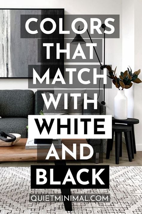 White Room Grey Accent Wall, Black And White Room With Accent Color, Grey White Interior Design, White Walls Black Trim Living Room Decor, White Living Room Black Furniture, Black And White Living Room With Pops Of Color, Black And White Bathroom Accents, Furniture For White Walls, White And Grey Interior House