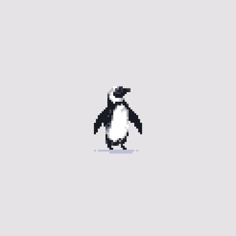 Pixel Animal Gif, Pixel Art Animation, Galapagos Penguin, Pixel Gif, Florida Panther, Cool Pixel Art, Pixel Art Characters, Art Animation, Nft Collection