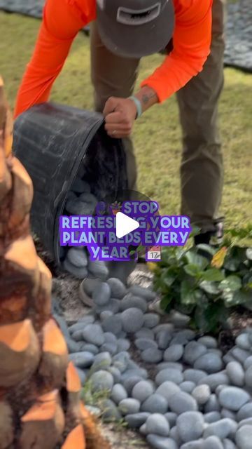 Coastal Creations Landscaping & Palm Service on Instagram: "🛑🛑STOP WASTING YOUR TIME REFRESHING YOUR FLOWER BEDS, YEAR AFTER YEAR 🛑🛑 🌊🌴 Upgrade your flower beds with Mexican beach pebbles from Coastal Creations! 

🌺 Say goodbye to high maintenance mulch and straw - these pebbles last for years, and require less upkeep. 

💪 Plus, rain can still reach your plants with rocks surrounding them! 

🌧️ Did you know that using rocks in your flower bed can help regulate soil temperature and prevent erosion? 🌿

👨‍💻    Email: joe.calo@coastalcreationslps.com

📲    Phone: 850.348.1692

💻    Visit: coastalcreationslps.com

🎬    TikTok:coastalcreationslps

📷     Fb/Insta: coastalcreationslandscaping

#coastalcreationslandscaping #MexicanBeachPebble #LowMaintenanceGardening" Coastal Creations, Mexican Beach Pebbles, Gardening Indoors, Mexican Beach, Rock Bed, Starting Seeds, Mexican Beaches, Beach Pebbles, Starting Seeds Indoors