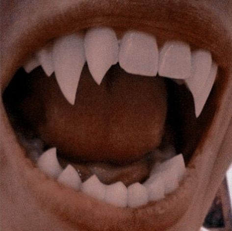 Werewolf Fangs, Teeth Aesthetic, Shifting Script, Werewolf Aesthetic, Vampire Fangs, Vampire Teeth, Vampire Academy, Sharp Teeth, Fantasy Aesthetic