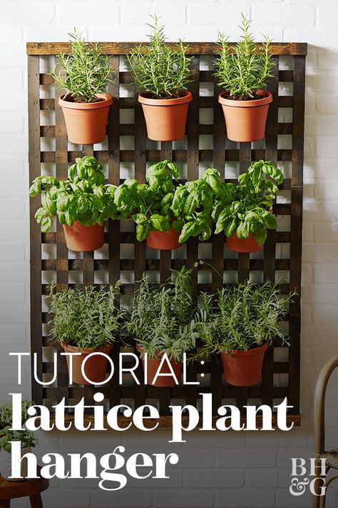 Keep fabulous herbs or flowers in one place on your wall. This DIY lattice plant hanger is streamlined and simple to make. #craftideas #diyideas #easydiy #easyfuncrafts #bhg Diy Herb Wall Outdoor, Diy Outdoor Plant Wall, Wall Planters Outdoor Diy, Plants For Wall Planters, Outdoor Herb Wall Vertical Gardens, Diy Indoor Garden Wall, Lattice Herb Wall, Plant Walls Outdoors, Decorating Lattice Ideas