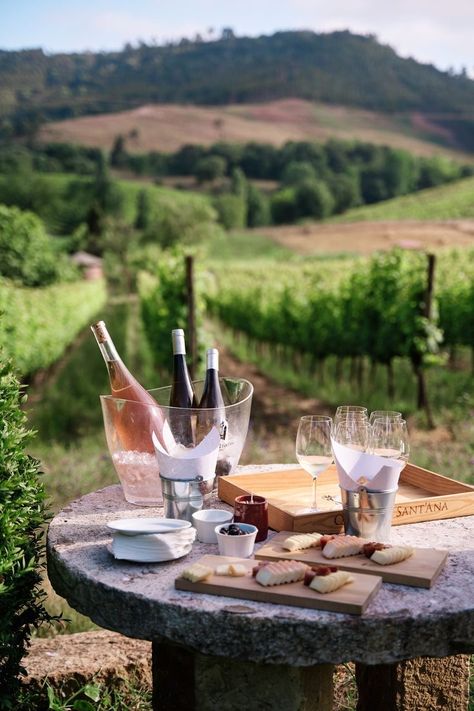 Crackers Photo, Airbnb Australia, Toasted Crackers, Outdoor Bathtub, Marinated Olives, Wine Tourism, Wine Tasting Experience, Different Wines, Wine Shop