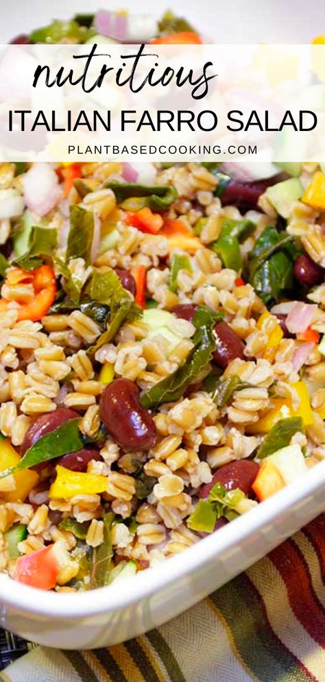 Elevate your salad game with this delicious and wholesome Italian Farro Salad! Made with wholesome ingredients and loaded with fresh veggies, this dish is bursting with flavor and nutrition. The zesty red wine vinaigrette adds a punch of acidity and is perfectly balanced with a touch of curry, making every bite a sensational experience. Farrow Salad, Dressing Recipes Salad, Salads Dressing Recipes, Plant Based Side Dishes, Vegan Salad Ideas, Farro Bowl, Salad Balsamic, Farro Salad Recipes, Beans And Vegetables