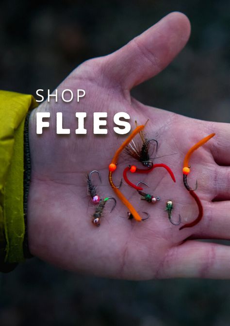 Dry Flies For Trout, Types Of Nymphs, Fly Fishing Boats, Blue Winged Olive, Insect Life Cycle, Fishing Basics, Caddis Flies, Trout Fishing Tips, Trout Flies