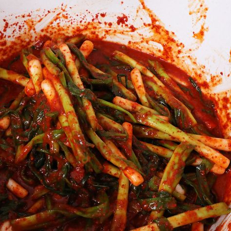 Green onion kimchi (Pa-kimchi: 파김치) recipe by Maangchi Korean Green Onion Kimchi, Green Onion Kimchi Recipe, Pa Kimchi, Green Onion Recipes, Green Onion Kimchi, Kimchi Soup Recipe, Korean Kimchi Recipe, Onion Kimchi, Kimchee Recipe