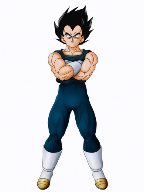 Vegeta Reference Sheet, Dragonball Characters, Dragon Ball Characters, Dragon Ball Super Super Hero, Dbz Drawings, Vegeta And Bulma, Dragon Ball Super Wallpapers, One Punch Man Anime, Dragon Ball Super Artwork