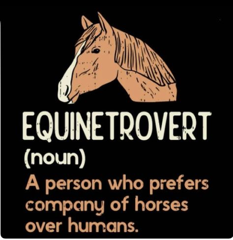 Equestrian Memes, Horses Aesthetic, Equine Quotes, Funny Horse Memes, Horse Friends, Horse Quote, Horse Meme, Cowgirl Quote, Horse Quotes Funny