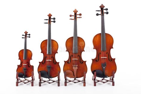 Family of Violins. A set of four violins differing in height and size , #AFFILIATE, #set, #Violins, #Family, #violins, #size #ad Music Teaching, Folk Song, Teaching Music, Flip Flop, Violin, Stock Images Free, Music Instruments, How To Draw Hands, Stock Photos