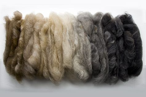 natural colors of wool - BFL ~ long staple... colours mixed more than 'she' expected but I think it looks great! Didn't realise how much variety there is in BFL family. Hantverk Diy, Spinning Wool, Spinning Yarn, Spinning Fiber, Spinning Wheel, Natural Colors, Sheep Wool, Hand Spinning, Natural Dyes