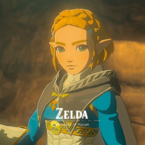 Zelda Icon, Tears Of The Kingdom, Breath Of The Wild, The Legend Of Zelda, Legend Of Zelda, The Wild, Short Hair, Zelda, Princess Zelda