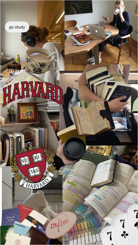 Harvard University Campus, Study Wallpaper, University Inspiration, Harvard Yale, Dream Studies, Harvard Students, College Vision Board, Law School Inspiration, Exam Study Tips