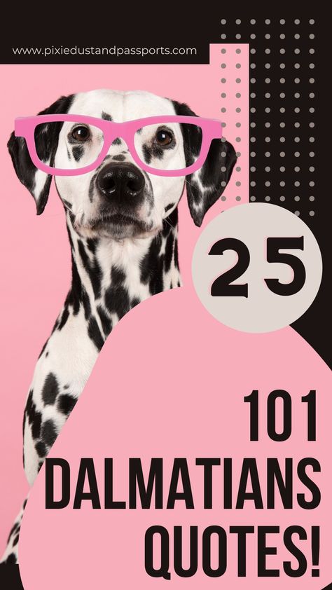 Are you looking for the ultimate list of 101 Dalmatians quotes? From Cruella 101 Dalmatians quotes to 101 Dalmatians puppies quotes, I've got them all! 101 Dalmatians Quotes, Dalmatian Quotes, Cruella Quotes, Puppies Quotes, Dalmatians Puppies, The 101 Dalmatians, Disney Love Quotes, Puppy Quotes, Cruella Deville