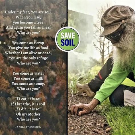 Save Soil, Agriculture Education, Green Environment, I Am Alive, Indian Gods, Save Yourself, Agriculture, Soil, Give It To Me