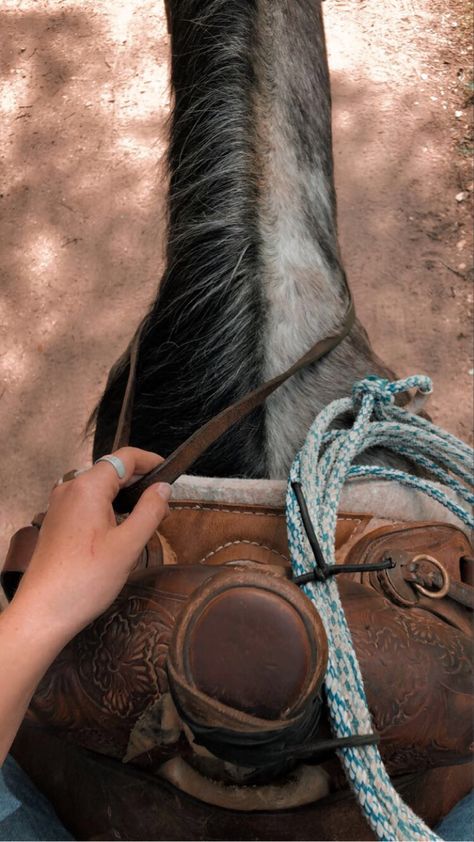 Horse Trail Ride Aesthetic, Horseback Riding Western, Western Trail Riding, Trail Ride Aesthetic, Trail Riding Aesthetic, Western Riding Aesthetic, Riding Horse Aesthetic, Horseback Riding Aesthetic, Western Horse Riding