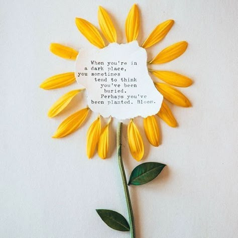 Sunflower Quotes, A Poem, A Quote, Note To Self, Pretty Words, Cute Quotes, Beautiful Words, Mantra, Inspirational Words