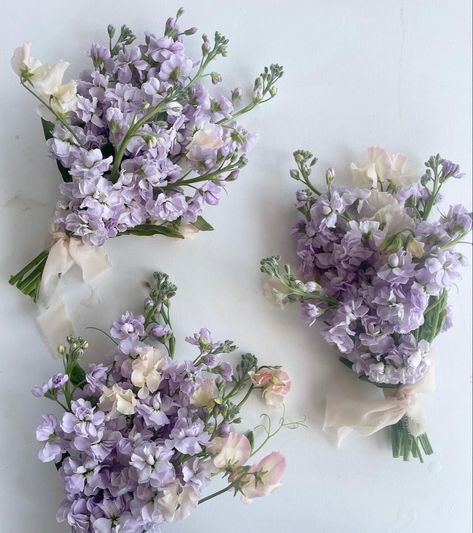 Sweet Pea Wedding Bouquet, Sweet Pea Bouquet, Lilac Wedding Flowers, Lilac Wedding Bouquet, Simple Wedding Bouquets, Bridesmaid Bouquet White, Lavender Wedding Flowers, Violet Wedding, Purple Wedding Bouquets