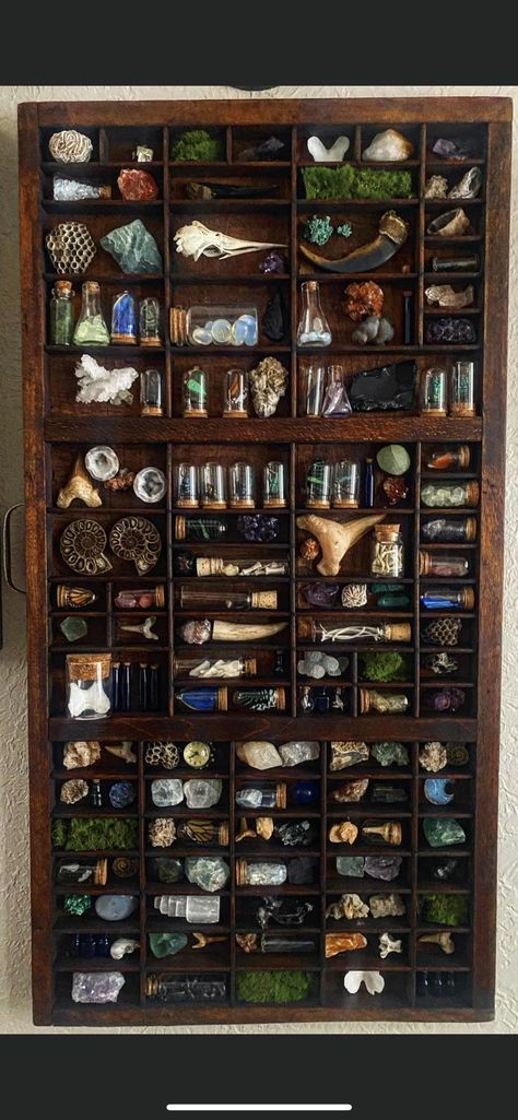 Curio Cabinet Oddities, Trinket Shelf Aesthetic, Bookshelf Display Ideas, Trinket Shelf Display, Oddity Shelf, Oddities Shelf, Cabinet Of Curiosities Diy, Witchy Shelves, Oddity Display