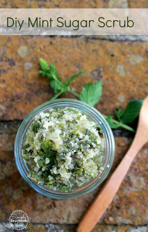 This easy DIY mint sugar scrub has only 3 common pantry ingredients and can be… Mint Body Scrub Diy, Mint Scrub Diy, Mint Candles Diy, Mint Salve Recipe, How To Use Fresh Mint, Dried Mint Uses, What To Do With Fresh Mint, Fresh Mint Uses, Fresh Mint Recipes