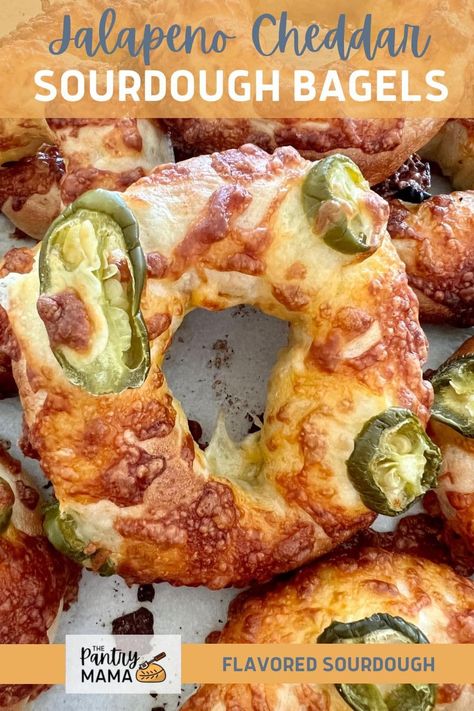 A spicy twist on classic sourdough bagels! These delicious, chewy jalapeńo cheddar sourdough bagels will be your new favorites! Spread them cream cheese or leave them plain! The Clever Carrot Sourdough Bagels, Pantry Mama Sourdough Bagels, Jalepeno And Cheddar Bagels, Sourdough Cheese Bagels, Jalapeño Cheddar Sourdough Bagels, Sourdough Recipes Bagels, Sourdough Egg Bagels, Jalapeno Cheddar Sourdough Bagels, Sourdough Discard Jalapeno Cheese Bread