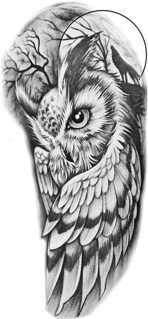 Owl Tattoo Design Sketches Drawings, Owl Tattoo Stencil, Abstract Owl Tattoo, Coverup Tattoo Ideas, Owl Eye Tattoo, Realistic Owl Tattoo, Owl Tattoo Sleeve, Chest Tattoo Stencils, Owl Tattoo Drawings