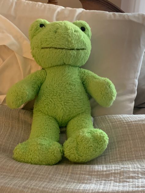 Frog Plushie, Frog Doll, Micro Pigs, Frog Plush, Doll Aesthetic, Dark Green Aesthetic, Color Vibe, Bright Pictures, Cute Stuffed Animals