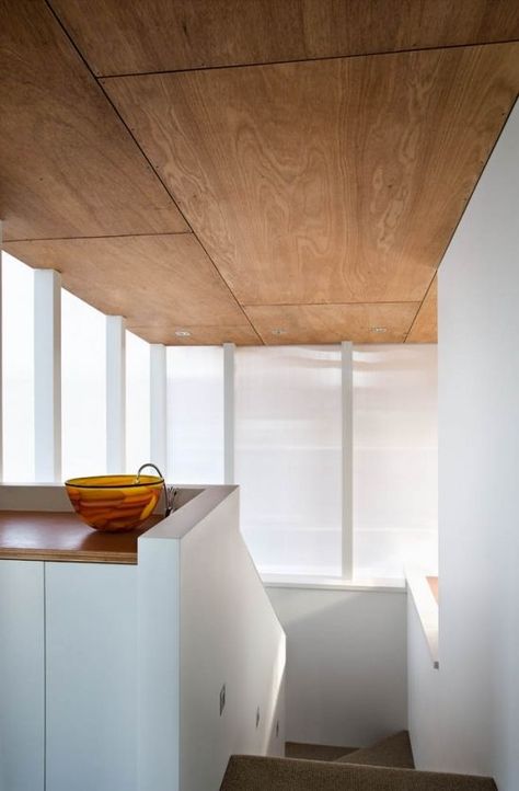 kitchen with concrete floor and natural wood ceiling - Ecosia Ply Ceiling, Plywood Ceiling, Plywood Design, Plywood Interior, Plywood Walls, Timber Ceiling, Timber Walls, Ply Wood, Design Salon