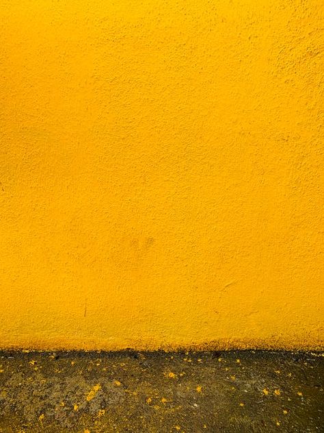 100+ Best Mustard Photos · 100% Free Download · Pexels Stock Photos Mustard Yellow Walls, Yellow Textures, Fall Background, Texture Photography, Free Textures, Yellow Walls, Summer Landscape, Yellow Background, Aesthetic Backgrounds