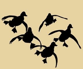 waterfowl tattoo designs | And... lets see ya'lls best duck mounts, I know some guys that get ... Duck Hunting Decals, Duck Tattoos, Hunting Decal, Hunting Tattoos, Goose Hunting, Hunting Birthday, Hunting Design, Hunting Art, Waterfowl Hunting