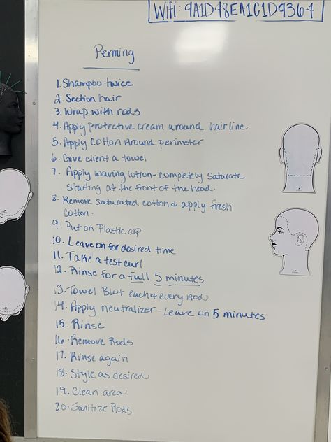 Cosmetology Bulletin Board Ideas, Cosmetology School Notes, Cosmology School, Cosmetology Notes, Master Cosmetologist, Cosmetology State Board Exam, Cosmetology State Board, Hair Salon Business Plan, Beauty School Cosmetology