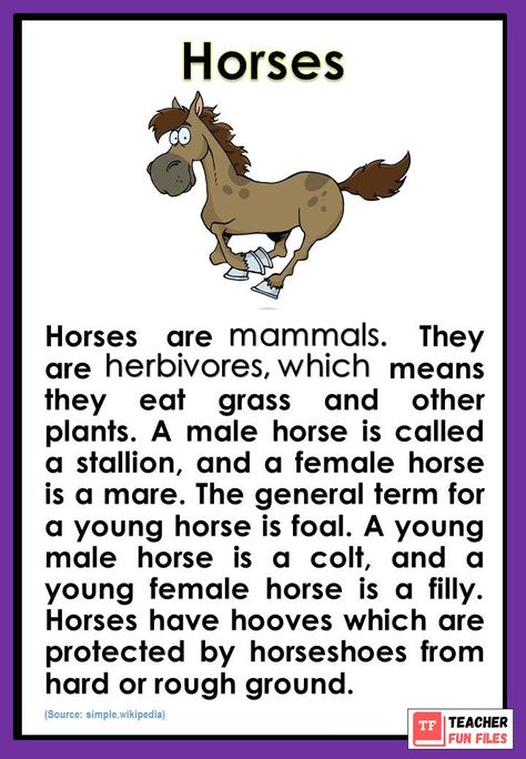 Short Text, Animal Worksheets, Kids Story, Alphabet Activities Preschool, Activities Preschool, Teacher Inspiration, Teaching Phonics, Forest School, English Worksheets