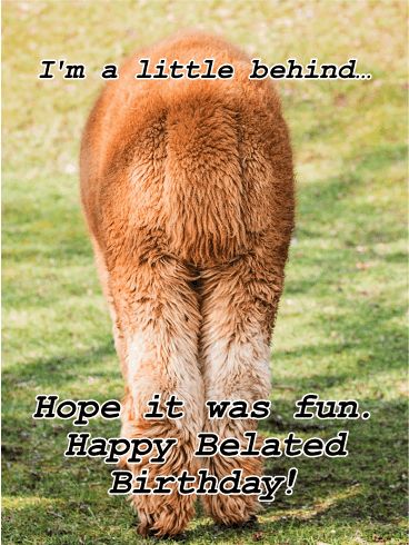 I'm a Little Behind... Funny Belated Birthday Card: Anyone with a sense of humor will appreciate this silly belated birthday card! Featuring the hind quarters of an alpaca, it's a fun way to admit you forgot while putting the blame on your bad habit of being a little "behind"! Day After Birthday Humor, Forgot Birthday Funny, Funny Belated Birthday Cards, Funny Belated Birthday Wishes Hilarious, Happy Late Birthday Funny, Late Birthday Wishes Funny, Happy Belated Birthday Funny, Happy Belated Birthday Quotes, Funny Belated Birthday Wishes