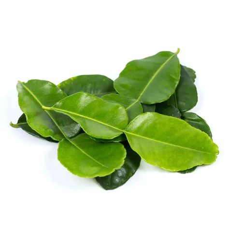 8 Substitutes for Curry Leaves - Chef's Pencil Thai Minced Pork, Hot Thai Kitchen, Panang Curry Recipe, Green Curry Recipes, Panang Curry, Lime Leaves, Water Spinach, Thai Kitchen, Kaffir Lime Leaves