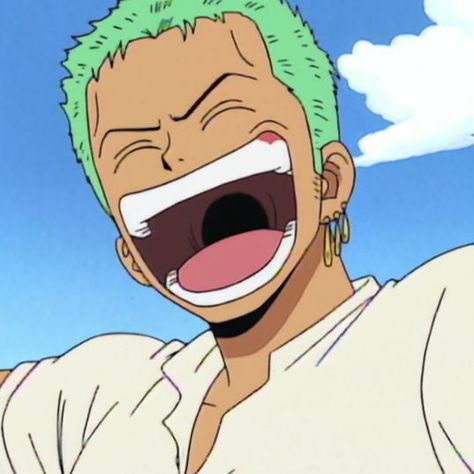 Memes One Piece, Zoro Icons, رورونوا زورو, Zoro Roronoa, Photo Polaroid, Sculpture Head, Watch One Piece, Zoro Nami, One Piece Crew