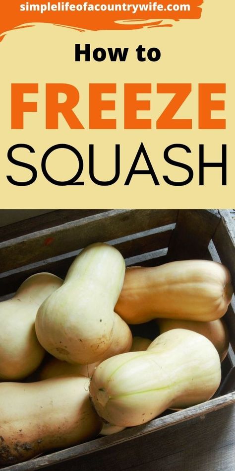 If you have a lot of squash freezing it can prevent it from being wasted. There are two really great ways to freeze squash. Can You Freeze Squash, Squash Freezing, Freeze Squash, Cushaw Squash, Freezing Squash, Opo Squash, Gem Squash, Buttercup Squash, Freezing Vegetables