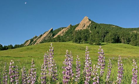 Chataqua Park Boulder, Turtle Mountain Chippewa, Chautauqua Park Boulder, Machapuchare Mountain, Express Feelings, Best Road Trips, Explore Colorado, Beautiful Places To Live, Mountain Life