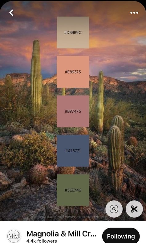 Colorful Ranch Interior, Oklahoma Color Palette, Southwest Sunset Color Palette, Purple Desert Color Palette, Southwestern Color Palette Living Room, Desert Mood Board Color Palettes, Vintage Desert Aesthetic Decor, Desert Landscape Color Palette, Desert Rose Palette