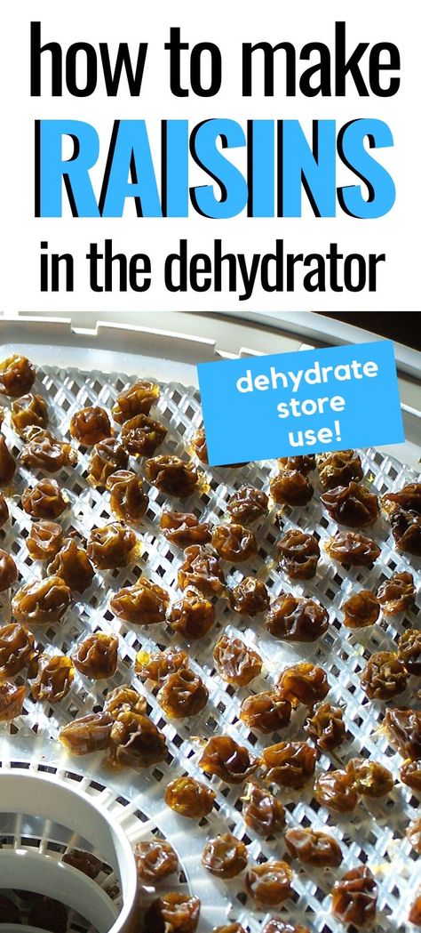 Dehydrating Grapes, Dehydrated Grapes, Homemade Raisins, How To Make Raisins, Dehydrating Recipes, Dehydrating Food Storage, Harvest Ideas, Dehydrated Fruits, Dried Raisins