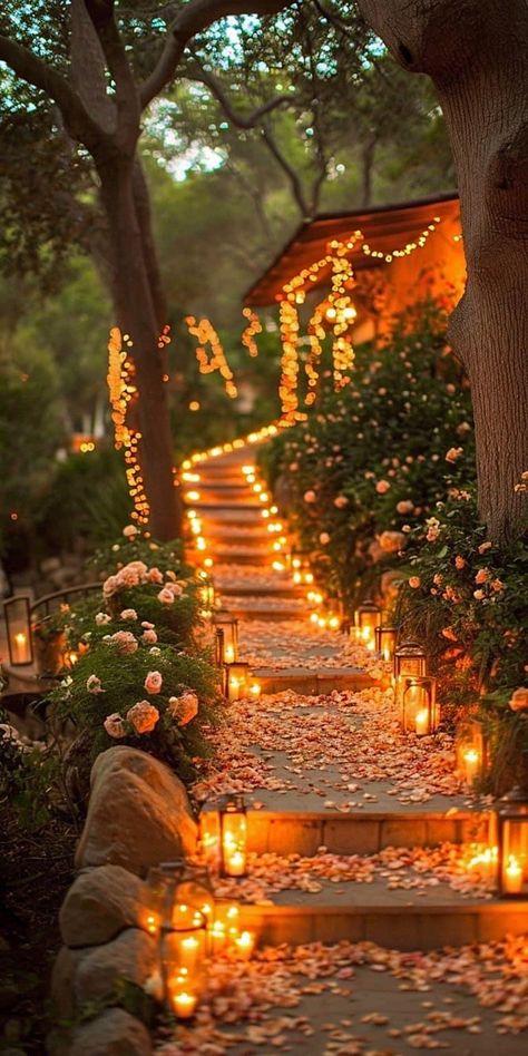 Creative Backyard, Garden Escape, Backyard Wedding Lighting, Forest Theme Wedding, Dream Wedding Decorations, Wedding Lighting, Backyard Lighting, Forest Theme, Focal Points