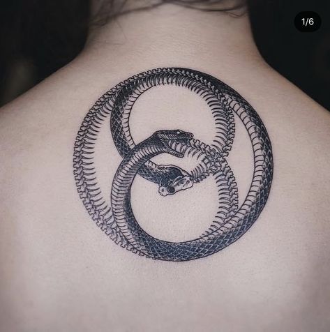 My Body Tattoo, Tattoo Cobra, Body Tattoo Ideas, 6 Tattoo, Gladiator Tattoo, Ouroboros Tattoo, Panther Tattoo, Tattoo Concepts, Blackwork Tattoos