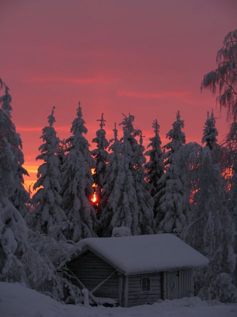 winter cabin Era Victoria, Winter Love, A Cabin, Small Cabin, Winter Scenery, Winter Beauty, Snow Scenes, Winter Pictures, Winter Wonder