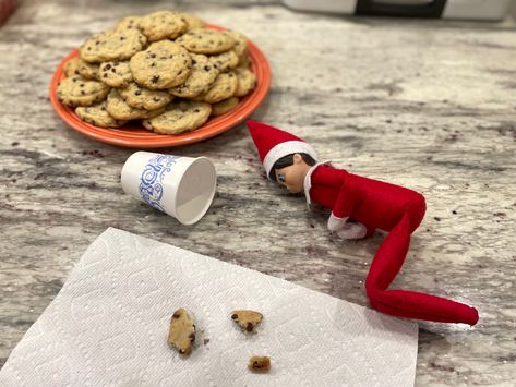 Elf on the Shelf has a tummy ache from eating too many cookies. Elf Eating Cookies, Elf On The Shelf Cookies Ideas, Elf On The Shelf Cookies, Elf On A Shelf, Awesome Elf On The Shelf Ideas, Cookies Ideas, Tummy Ache, Elf Antics, Elf Ideas