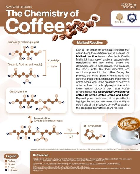 Chemistry Infographic Design, Coffee Profile, Chemistry Infographic, Coffee Chemistry, Coffee 101, Food Engineering, Homemade Coffee Drinks, Coffee Notes, Raw Coffee Beans