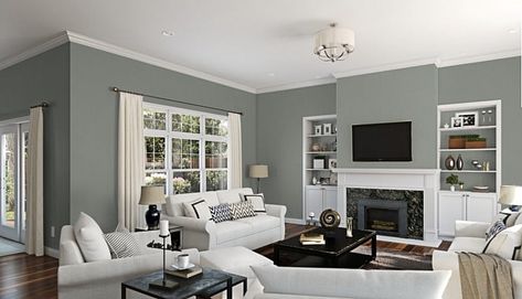 Paint Color Inspiration: Sherwin Williams Acacia Green for living room walls. Nebulous White, Beige Paint Colors, Blue Gray Paint Colors, Greige Paint Colors, Greige Paint, Blue Gray Paint, Repose Gray, Trending Paint Colors, Popular Paint Colors