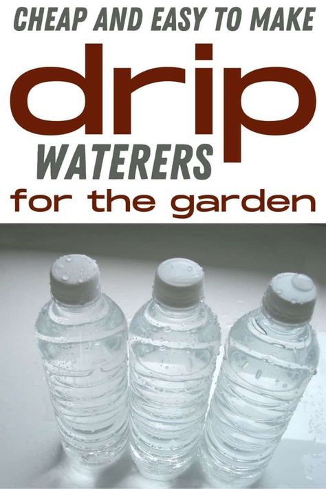 Water Bottle Drip Irrigation, Garden Buckets, Reusing Plastic Water Bottles, Beginner Homesteading, Self Watering Bottle, Cabin Landscaping, Diy Self Watering Planter, Plant Watering System, Garden Watering System